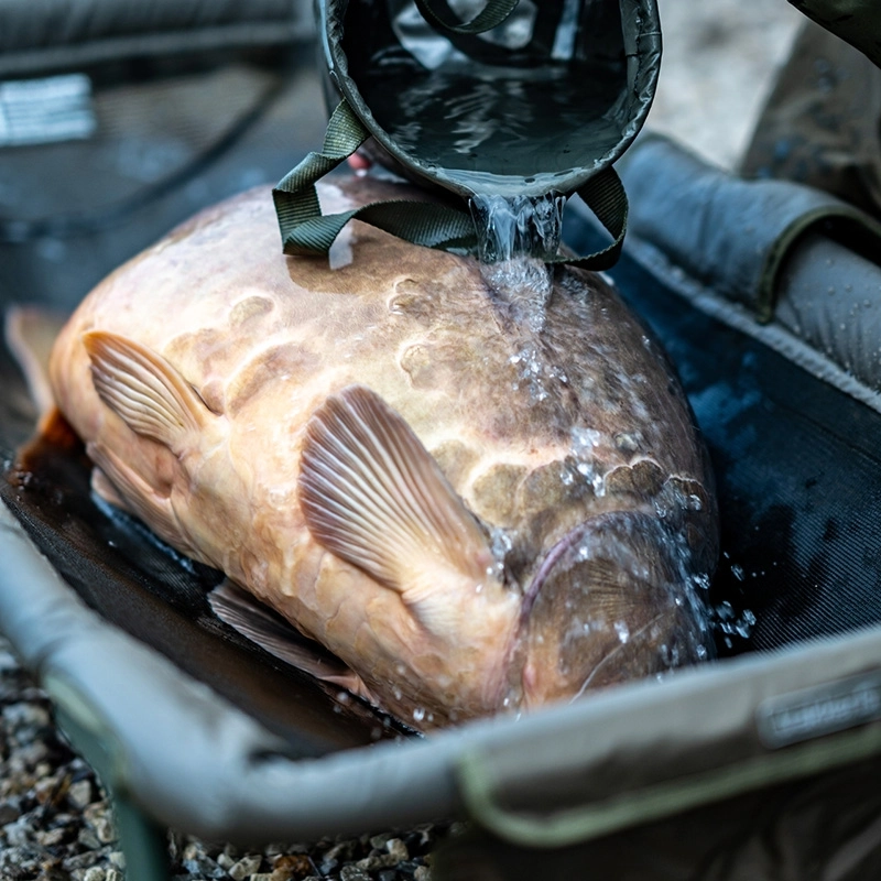 Trakker Sanctuary Cradles